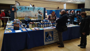 Salon Talant loisirs